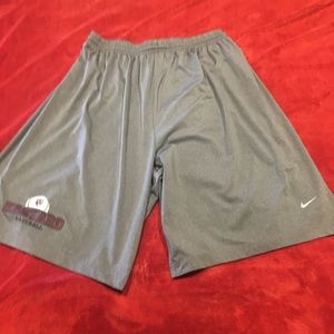 Nike Harvard Baseball Gray XL Shorts